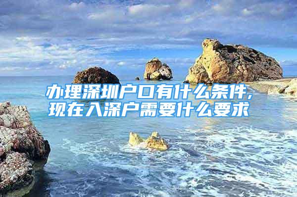 办理深圳户口有什么条件,现在入深户需要什么要求