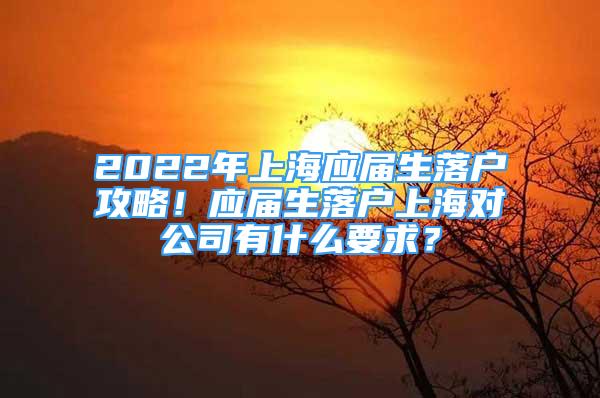 2022年上海应届生落户攻略！应届生落户上海对公司有什么要求？