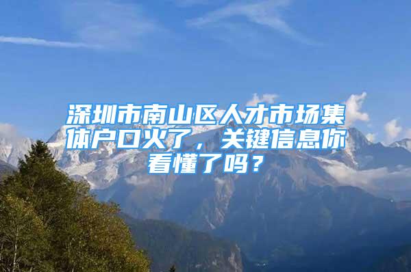 深圳市南山区人才市场集体户口火了，关键信息你看懂了吗？