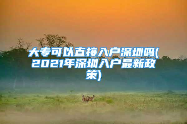 大专可以直接入户深圳吗(2021年深圳入户最新政策)