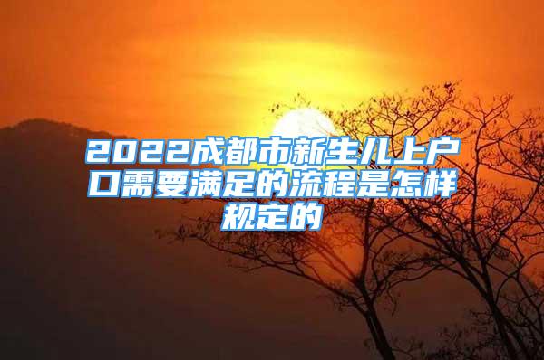 2022成都市新生儿上户口需要满足的流程是怎样规定的