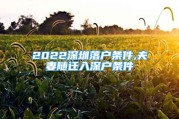 2022深圳落户条件,夫妻随迁入深户条件