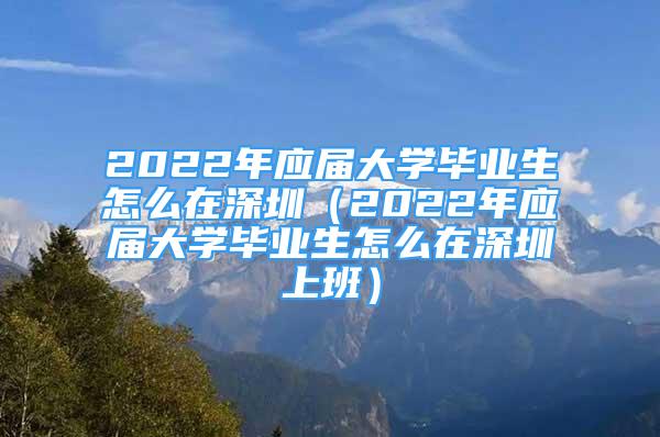 2022年应届大学毕业生怎么在深圳（2022年应届大学毕业生怎么在深圳上班）