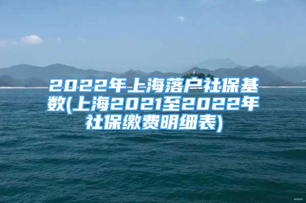 2022年上海落户社保基数(上海2021至2022年社保缴费明细表)