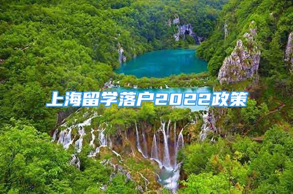 上海留学落户2022政策