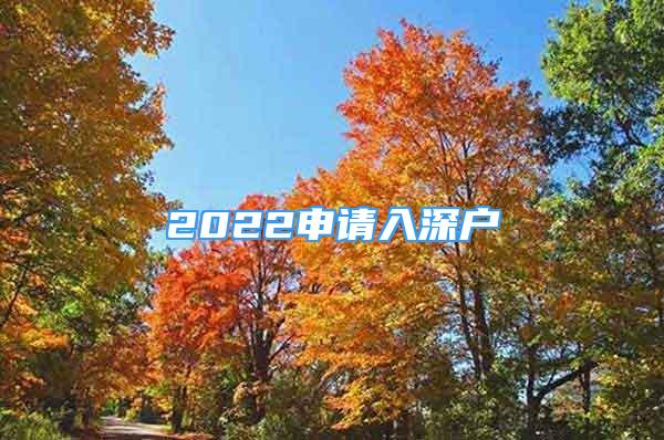 2022申请入深户