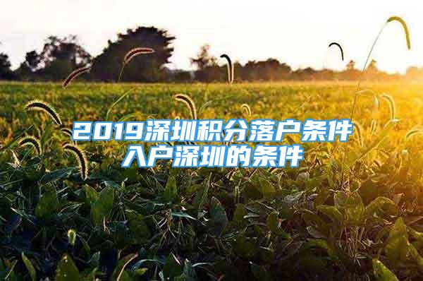 2019深圳积分落户条件入户深圳的条件