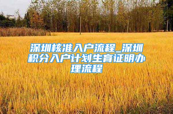 深圳核准入户流程_深圳积分入户计划生育证明办理流程