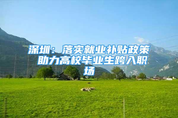 深圳：落实就业补贴政策 助力高校毕业生跨入职场