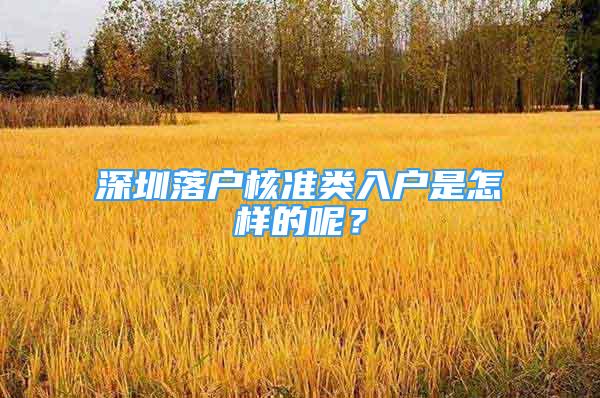 深圳落户核准类入户是怎样的呢？