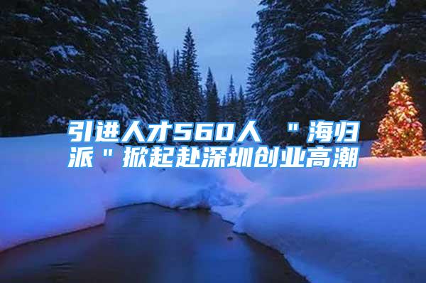 引进人才560人 ＂海归派＂掀起赴深圳创业高潮