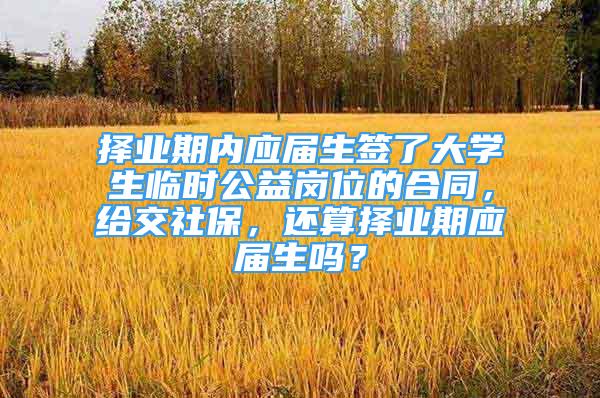 择业期内应届生签了大学生临时公益岗位的合同，给交社保，还算择业期应届生吗？