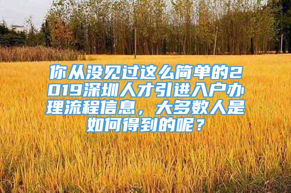 你从没见过这么简单的2019深圳人才引进入户办理流程信息，大多数人是如何得到的呢？