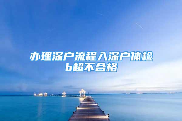 办理深户流程入深户体检b超不合格