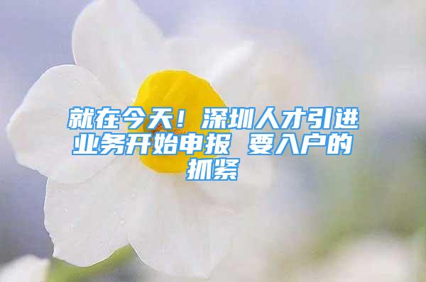 就在今天！深圳人才引进业务开始申报 要入户的抓紧