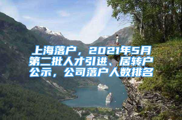 上海落户，2021年5月第二批人才引进、居转户公示，公司落户人数排名