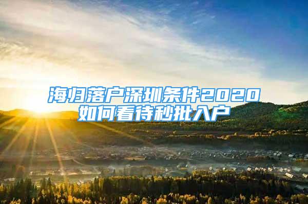 海归落户深圳条件2020如何看待秒批入户