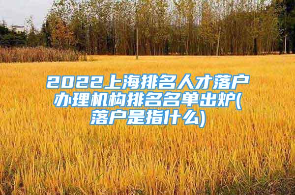 2022上海排名人才落户办理机构排名名单出炉(落户是指什么)