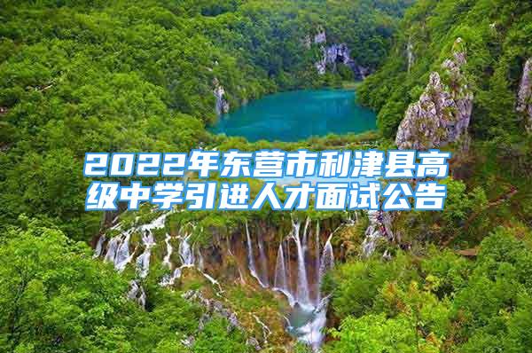 2022年东营市利津县高级中学引进人才面试公告