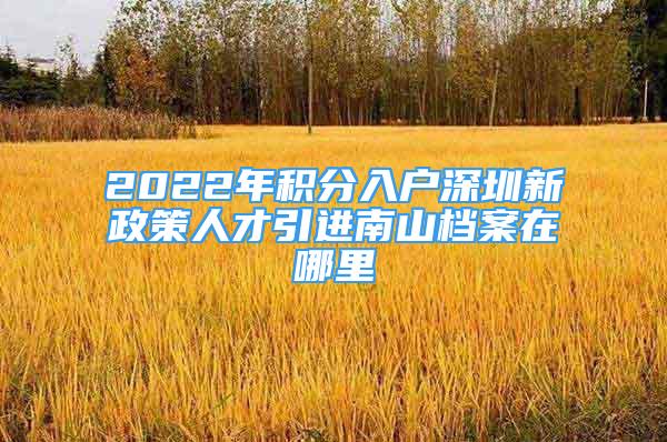 2022年积分入户深圳新政策人才引进南山档案在哪里