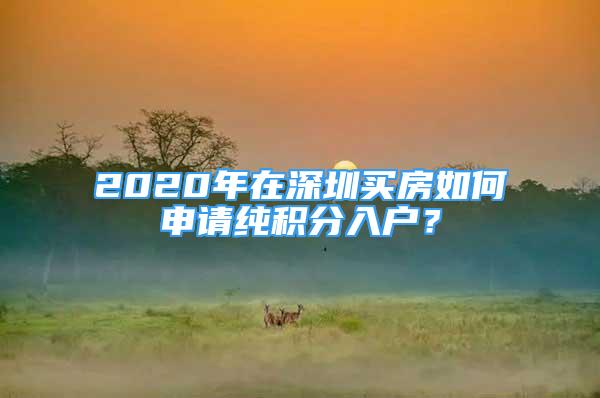 2020年在深圳买房如何申请纯积分入户？