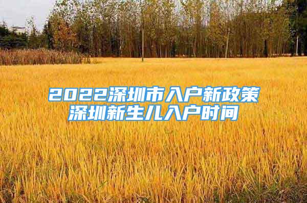 2022深圳市入户新政策深圳新生儿入户时间