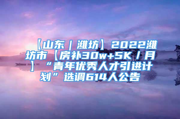 【山东｜潍坊】2022潍坊市【房补30w+5K／月】“青年优秀人才引进计划”选调614人公告