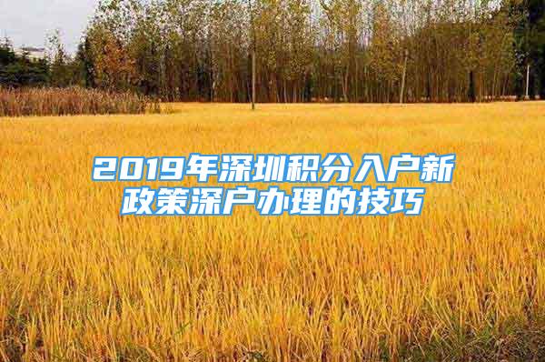 2019年深圳积分入户新政策深户办理的技巧