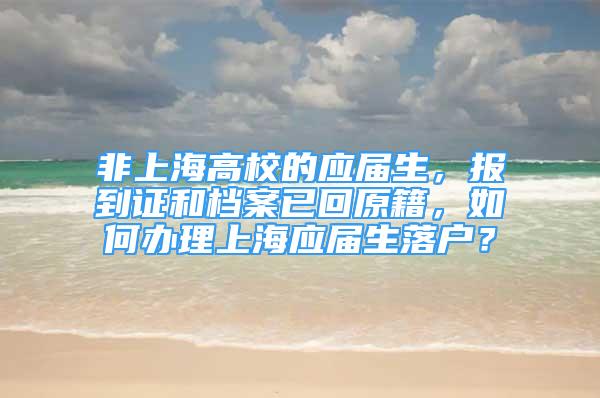 非上海高校的应届生，报到证和档案已回原籍，如何办理上海应届生落户？