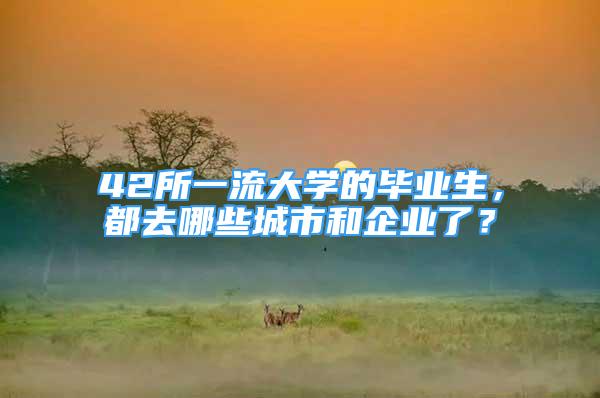 42所一流大学的毕业生，都去哪些城市和企业了？