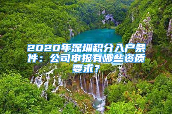 2020年深圳积分入户条件：公司申报有哪些资质要求？