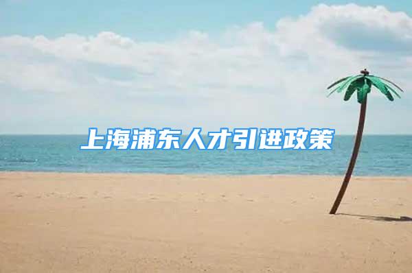 上海浦东人才引进政策