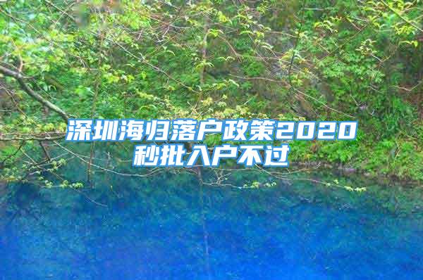 深圳海归落户政策2020秒批入户不过