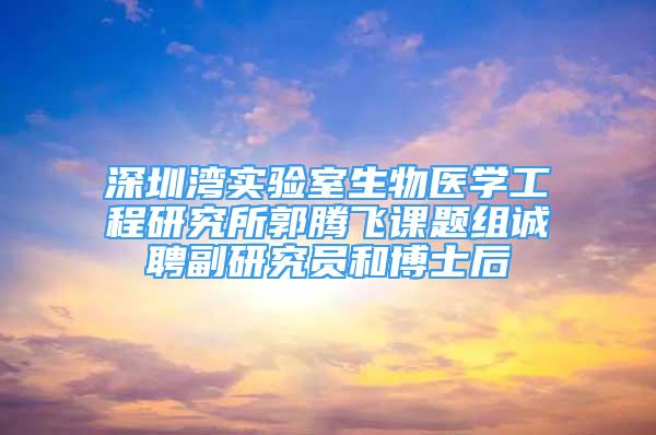 深圳湾实验室生物医学工程研究所郭腾飞课题组诚聘副研究员和博士后