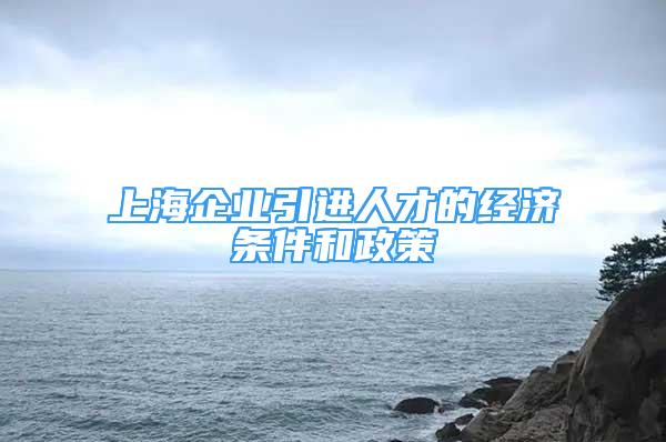 上海企业引进人才的经济条件和政策