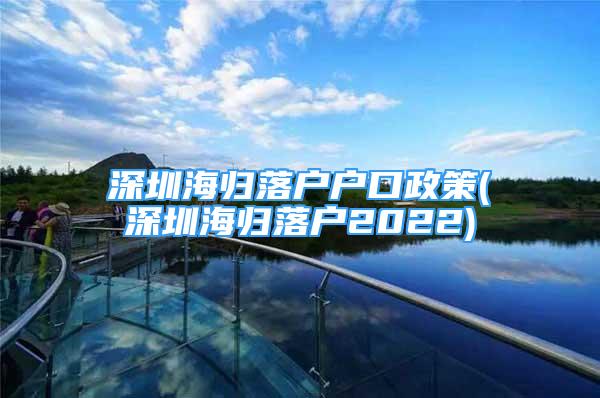 深圳海归落户户口政策(深圳海归落户2022)