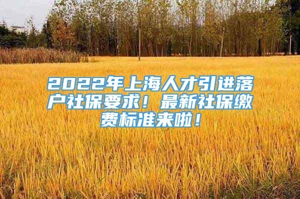 2022年上海人才引进落户社保要求！最新社保缴费标准来啦！