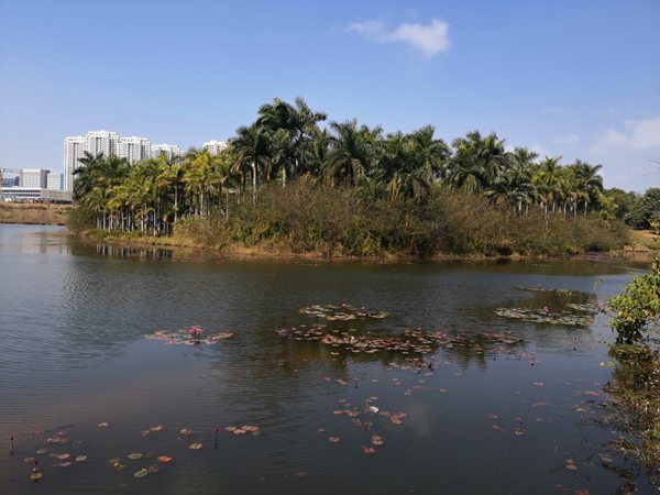 深圳户口迁移流程