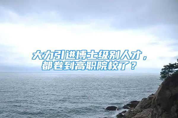 大力引进博士级别人才，都卷到高职院校了？