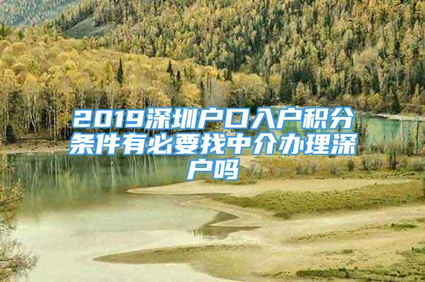 2019深圳户口入户积分条件有必要找中介办理深户吗