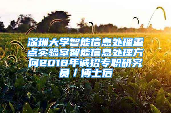 深圳大学智能信息处理重点实验室智能信息处理方向2018年诚招专职研究员／博士后