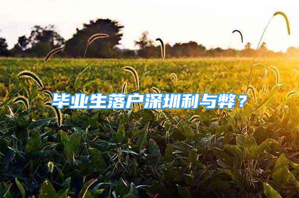 毕业生落户深圳利与弊？