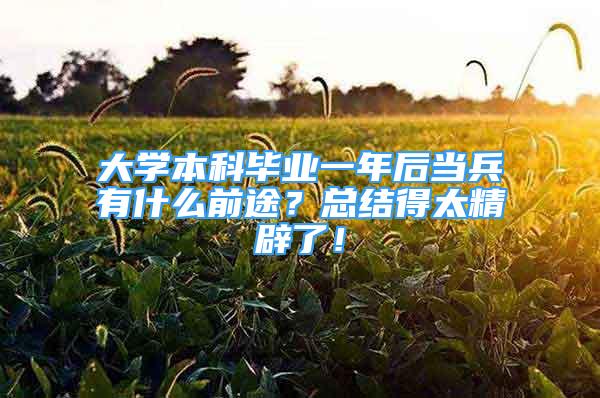 大学本科毕业一年后当兵有什么前途？总结得太精辟了！