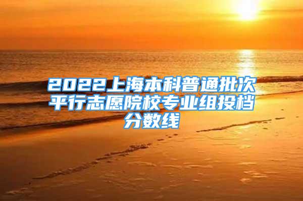 2022上海本科普通批次平行志愿院校专业组投档分数线