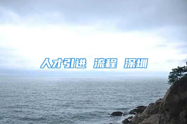 人才引进 流程 深圳