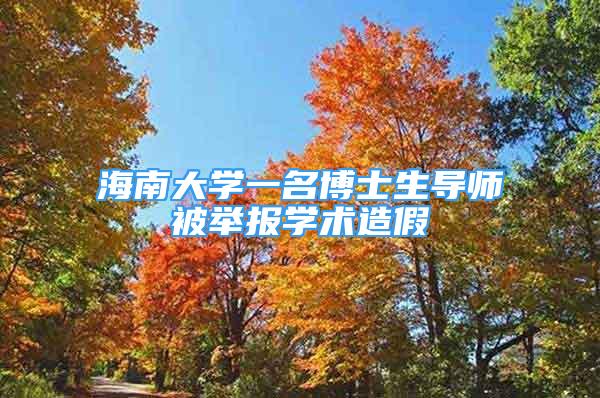 海南大学一名博士生导师被举报学术造假