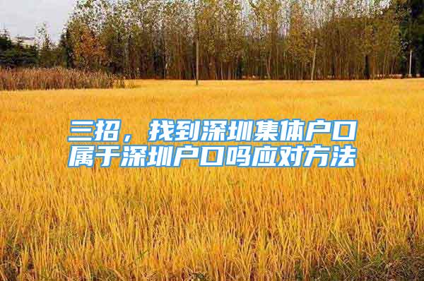 三招，找到深圳集体户口属于深圳户口吗应对方法