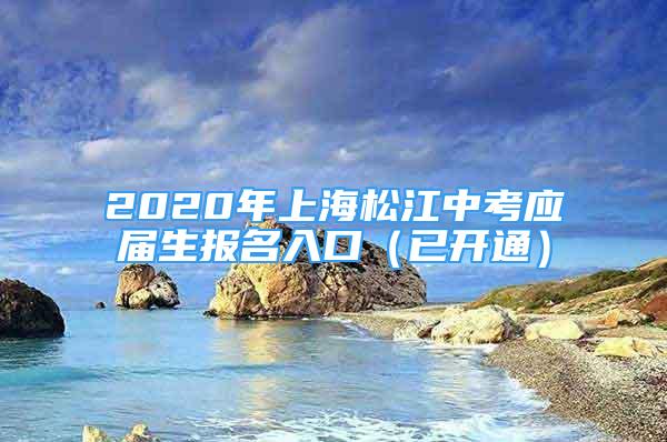 2020年上海松江中考应届生报名入口（已开通）