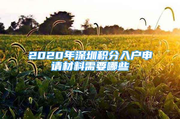 2020年深圳积分入户申请材料需要哪些