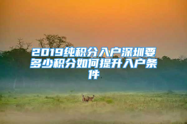 2019纯积分入户深圳要多少积分如何提升入户条件